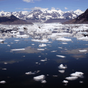 알래스카 본토 완전 일주 6박 7일