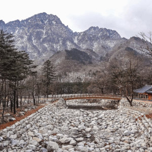 추석 맞이 고국 방문, 한국 · 일본 6박 7일 (항공 포함)