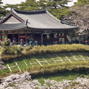 고국 동해내륙권 4박 5일