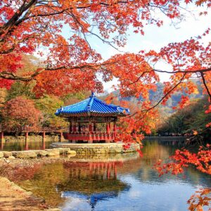 고국 단풍 전국일주 9박 10일