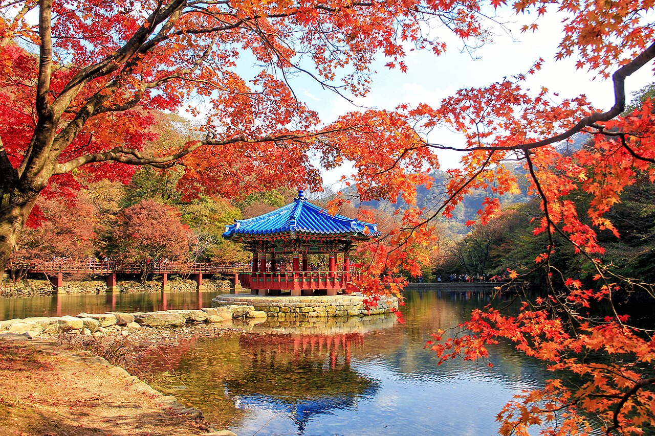 고국 단풍 전국일주 9박 10일