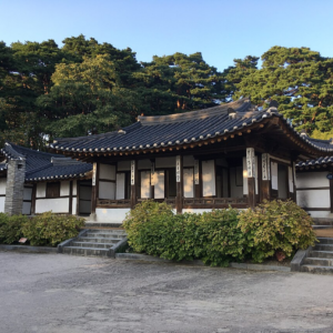 고국 제주 동해내륙권 6박 7일